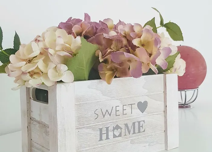 Old Dream Ναζαρέ